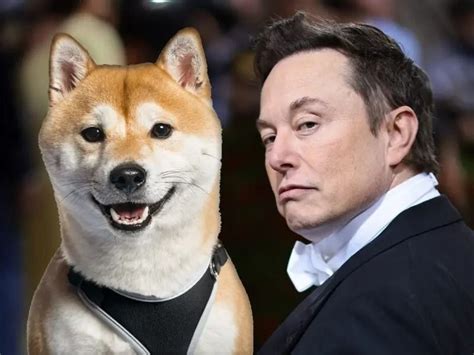 E­l­o­n­ ­M­u­s­k­,­ ­D­o­g­e­c­o­i­n­ ­v­e­ ­S­h­i­b­a­ ­I­n­u­­y­u­ ­Y­ü­k­s­e­l­t­t­i­